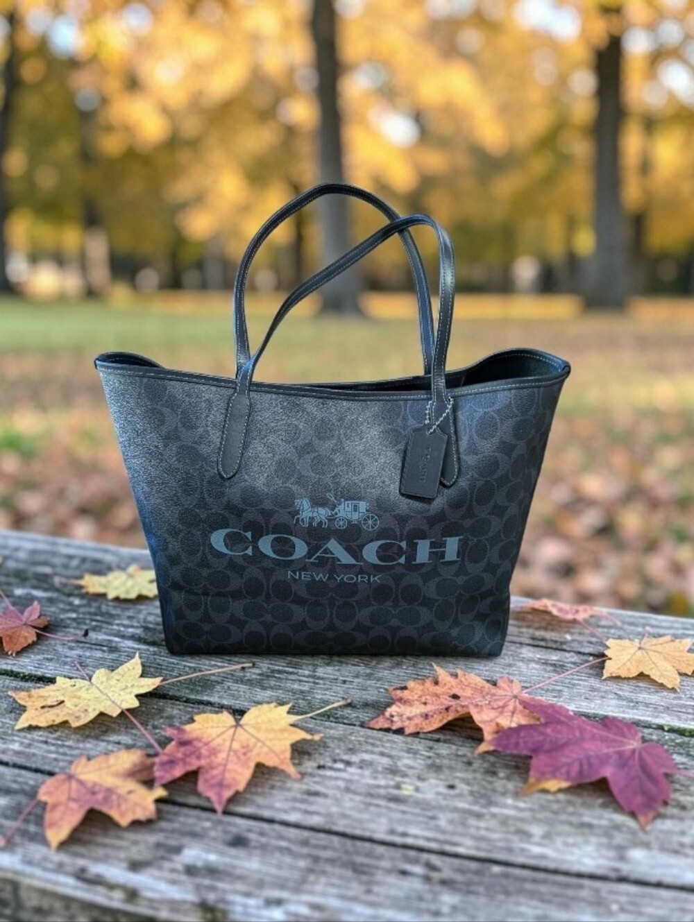 Coach City Black Signature Logo Tote - Black/Charcoal